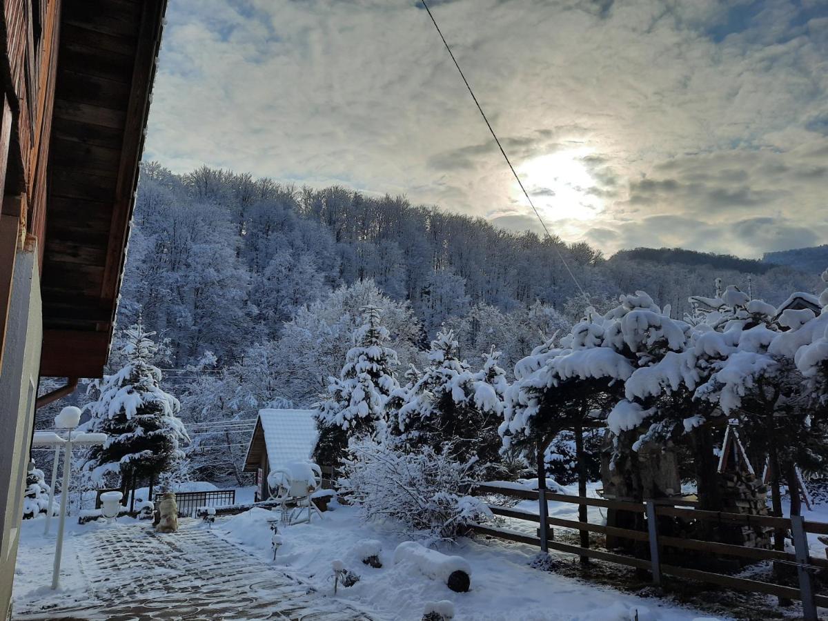 Casa Maia Apartment Cîrţişoara Bagian luar foto