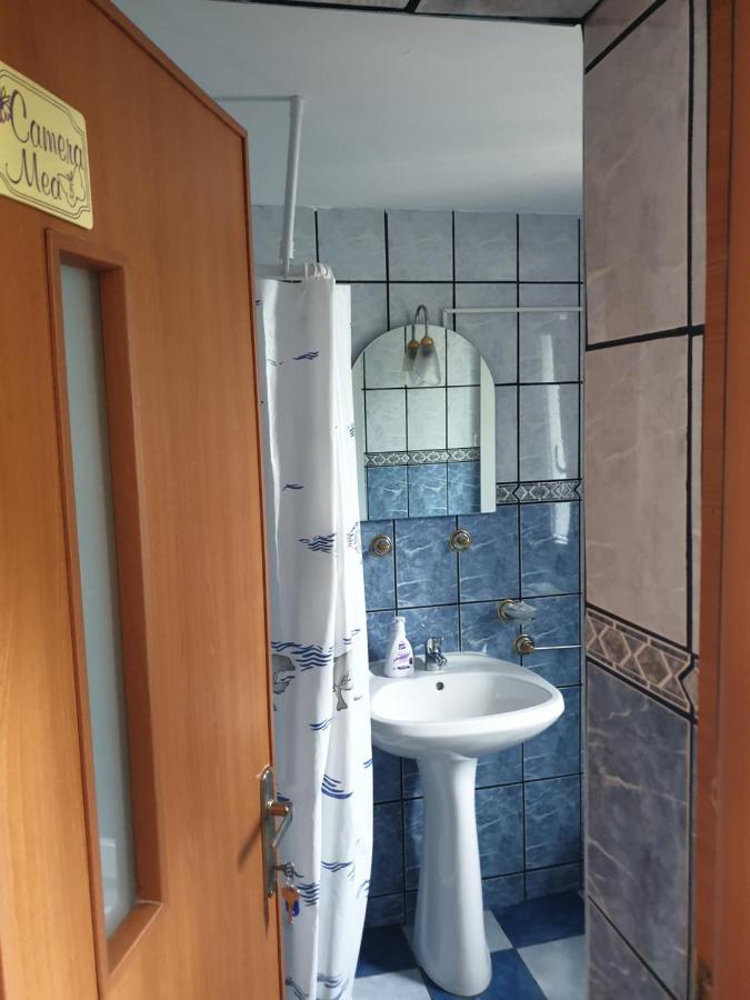 Casa Maia Apartment Cîrţişoara Bagian luar foto