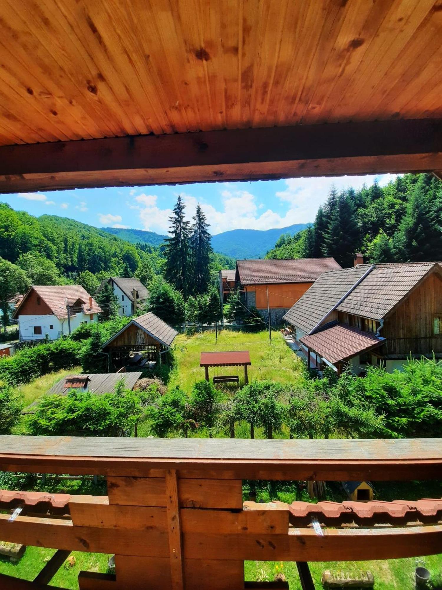 Casa Maia Apartment Cîrţişoara Bagian luar foto